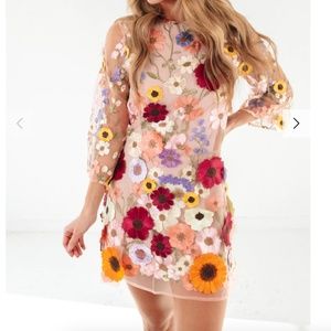 Impeccable Pig, Make Me Blush Dress, Large, Taylor Swift Floral Appliqué Dress